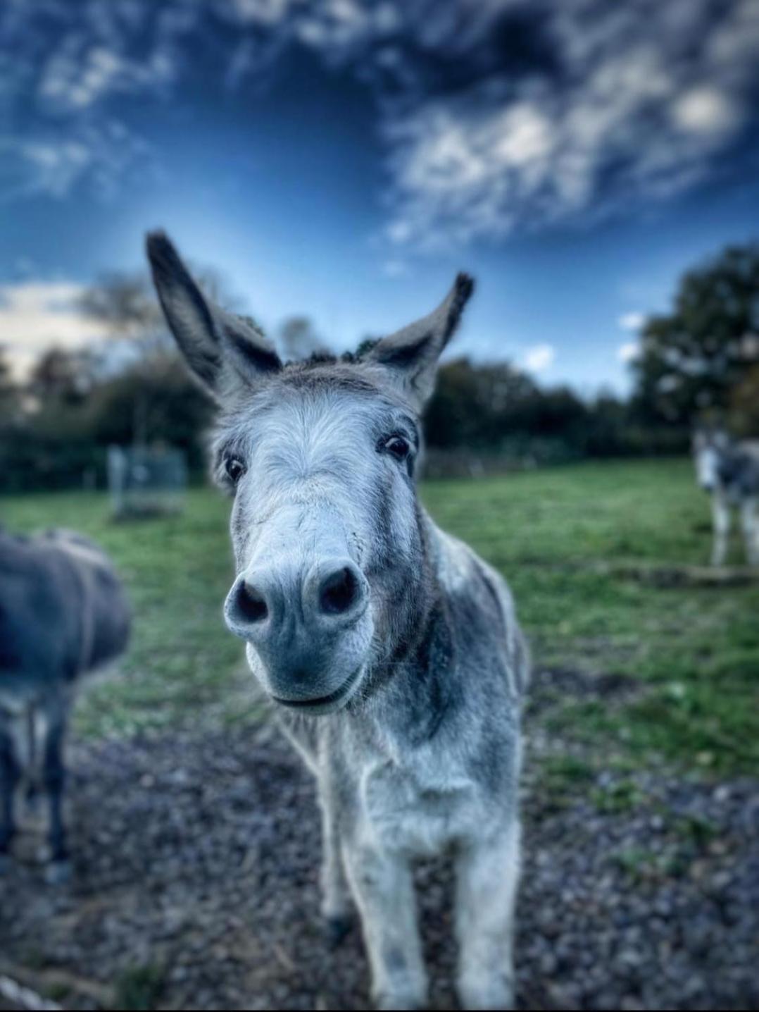 Sometimes Zimmer Gehaichnishof 7Born Maring-Noviand Esterno foto